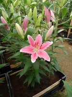 [4362 Mumbai DJ No101.JPG]